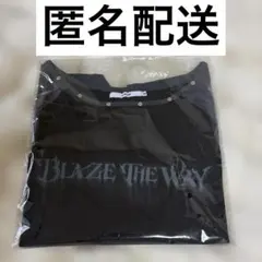 &TEAM ラグランTシャツ M BLAZE THE WAY ツアーグッズ - メルカリ