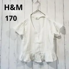 エイチアンドエムH&M 半袖ブラウス 白 フリル コットン ナチュラル 夏
