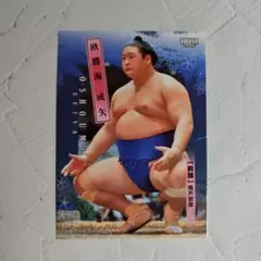 Item thumbnail for item fc292cae-c3d6-4e10-8e8c-53f126a4232f