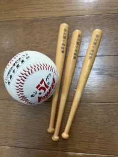 Item thumbnail for item 9df986e4-db41-4c1d-9b54-5b991622cc5e