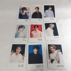 RAYS　特典　チェキ風フォトカード　トレカ　9枚セット　Snow Man