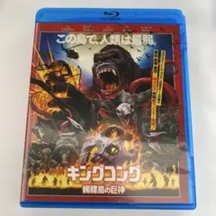 Item thumbnail for item cd567363-6593-4ef3-b7ac-54388033cc9b