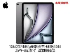 13インチ iPad Air (M3) 128GB Wi-Fi スペースグレイ