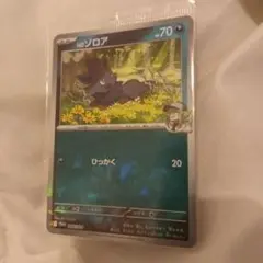 Nのゾロア：コレクションファイルセット PROMO SV-Pプロモカード 20…