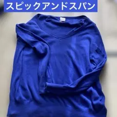 Spick & Span 青 長袖ニットセーター 綿 フリーサイズ