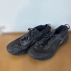 限定値下げ！Nike Pegasus Trail 3 GORE-TEX 30cmのサムネイル