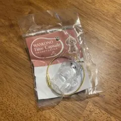 わんこのタイムカプセル　ラテ