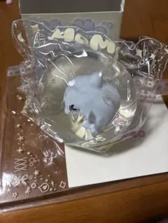 momoスクイーズ 海洋