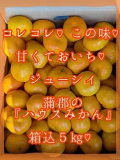甘♡馬♡ジューシィ♡蒲郡のハウスみかん♡箱込５kg♡ 甘♡馬♡ジューシィ♡蒲郡のハウスみかん♡箱込5kg♡ - メルカリ