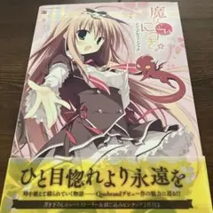 2025年最新】魔女こいにっきの人気アイテム - メルカリ