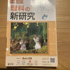 Item thumbnail for item 8d3536c2-521d-4a00-86db-d8ea919ec102