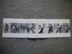 Item thumbnail for item 68ec9707-abdd-4b67-9e79-51face25c4d9