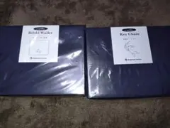 Item thumbnail for item 09389c6b-41d4-4dab-8f3f-e25cbf448827