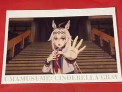 ポストカード G オグリキャップ ウマ娘 シンデレラグレイ 笠松競馬場 2026