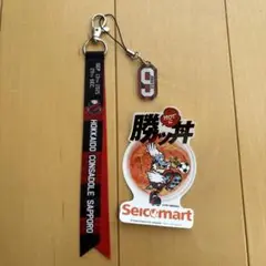 北海道コンサドーレ札幌　ボンフィンストラップ