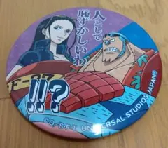 ワンピース　ユニバ　缶バッジ　ロビン＆フランキー