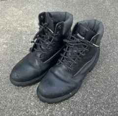 Item thumbnail for item 6cd29b1f-76c2-453d-a93c-55bb6760071b