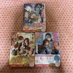ライトノベル セット