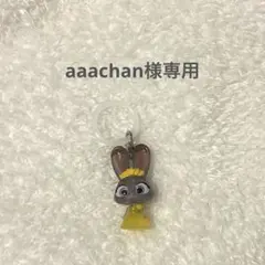 aaachan様専用ページ