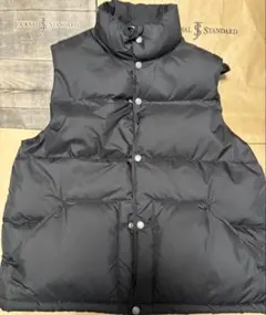 THE NORTH FACE ダウンベスト ジャーナルスタンダード別注　Mサイズ