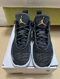 NIKE ジョーダン36LOW PF