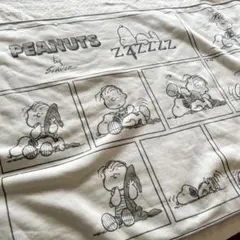 ユニクロ　フリースブランケット　スヌーピー　ピーナッツのサムネイル