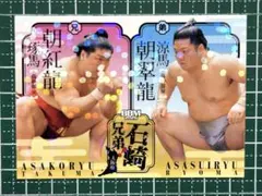 まるほー様 リクエスト 2点 まとめ商品