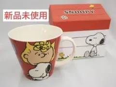 スヌーピー ボックス入 マグ 「ハウス型box」 レッド　マグカップ　小物入れ