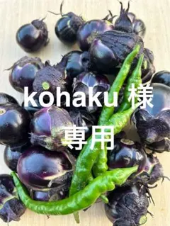 kohaku 様専用