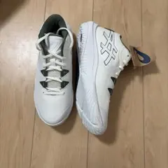 アシックス バスケットボールシューズ ホワイト/グリーン