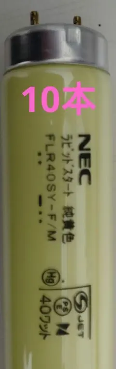 NEC 蛍光灯 FHF86ED/RX-HX 8本 - メルカリ