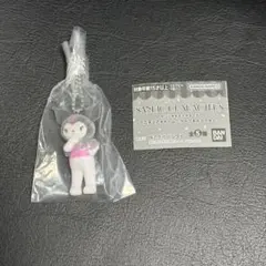 サンリオキャラクターズ ミニチュアチャーム ライブキャラクター (クロミ)