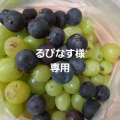 るぴなす様専用