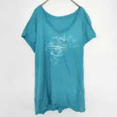 エディーバウアー プリント Tシャツ Vネック 半袖 裾ストレート XL 青 綿のサムネイル