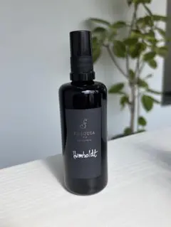 希少 廃盤 HUGO BOSS ヒューゴボス エレメンツアクアEDT50ml香水