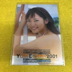 値下げ美品エレキ三味線 しのびね ユーミック youmic 美品】 エレキ三味線 しのびね ユーミック youmic ユーミック