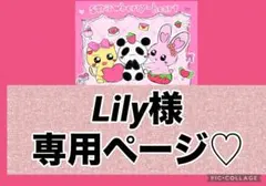 Lily様。専用ページ