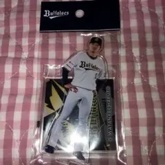 オリックスバファローズ 渡部遼人 アクスタ 2024 ②