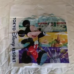 東京ディズニーリゾート ショップ袋 ミッキー ミニー　約56×51cmのサムネイル