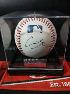 ドジャース 大谷翔平 直筆 サインボール ケース付き 2025年最新】大谷翔平ボールケースの人気アイテム - メルカリ