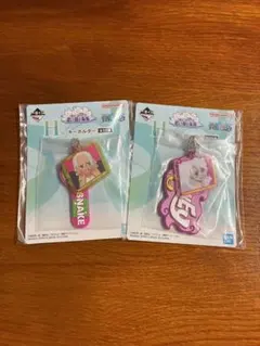 一番くじ ワンピース 思い描く未来　H賞