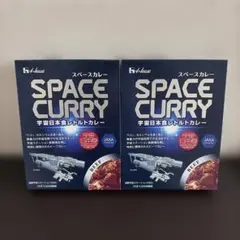 SPACE CURRY スペースカレー 宇宙日本食レトルトカレー　2個セットのサムネイル