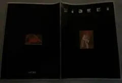 MYOJO 付録　HIDEKIファイル