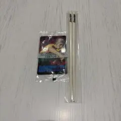SnowMan CD特典＋サカモトディズ入場者プレゼント