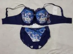 新品 レッドレーベル バイ トリンプ H75 Hikini 脇高 ブラ＆ショーツのサムネイル