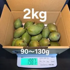 摘果青マンゴー（120g〜200g）箱込み2K - メルカリ