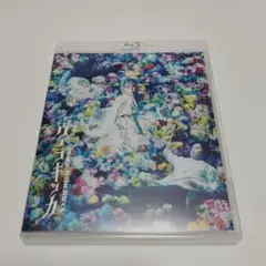 ミュージカル ヴェラキッカ Blu-Ray