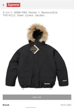 2025年最新】supreme gore-tex reversibleの人気アイテム - メルカリ