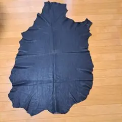 Item thumbnail for item a95ccd87-a4c4-4845-8b4f-3cfa0aa30149