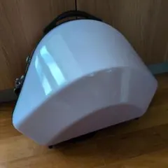 Item thumbnail for item 978728c0-380b-4ea6-9e06-99d90a7b8e39